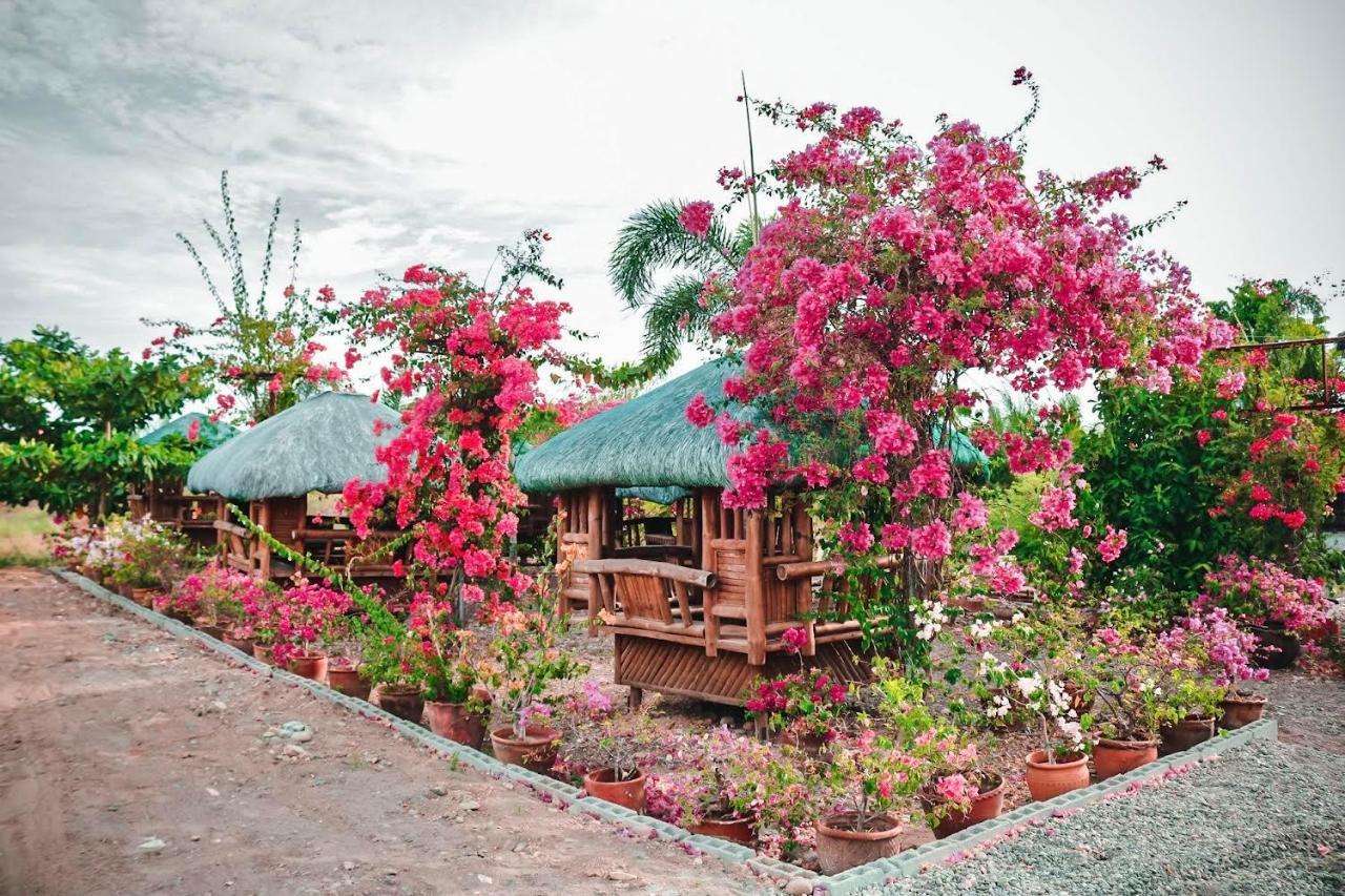 Airport View Hotel Vigan Eksteriør bilde